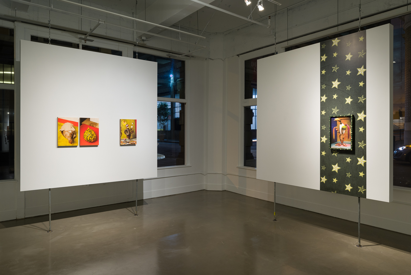   Return to Reason , installation view, Gallery Wendi Norris, San Francisco, CA, January 15 — February 28, 2015, Photographer: JKA Photography   