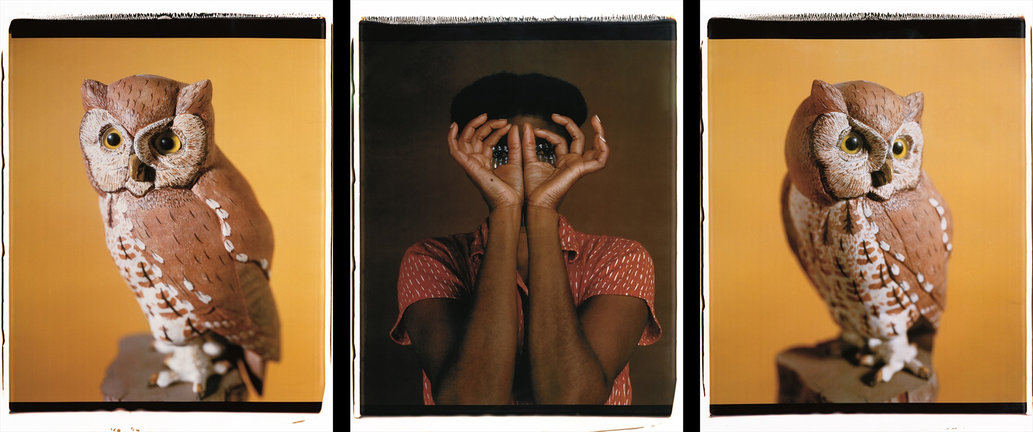  María Magdalena Campos-Pons,  Nesting II,  2000, Polaroid Polacolor Pro, 24 x 20 photograph, 24 x 72 inches (61 x 152.4 cm) 