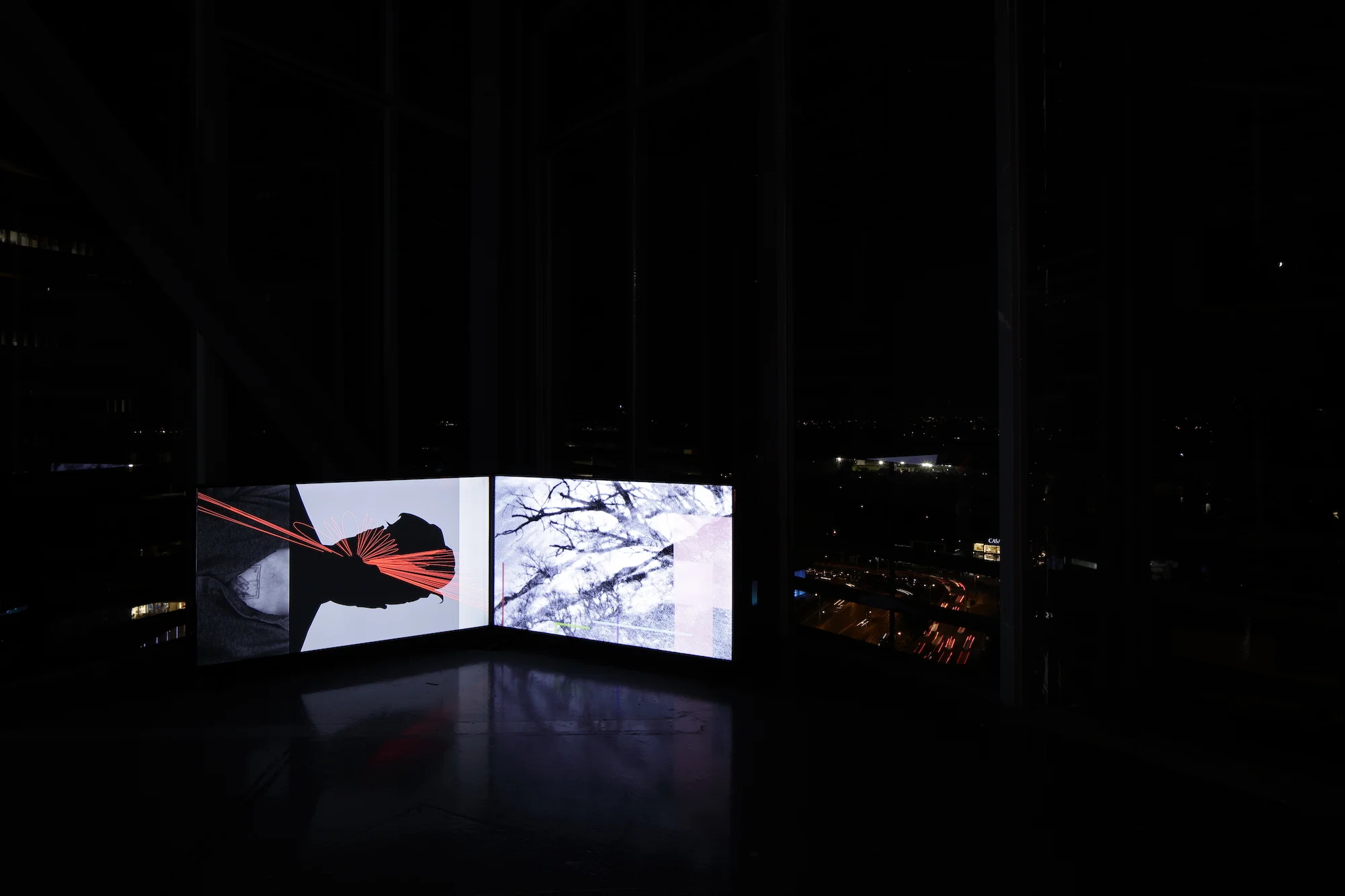 Julio César Morales: This World is Not For You, installation view, Gallery Wendi Norris Offsite, Torre Cube, Floor 13, Guadalajara, Mexico, February 2 - 28, 2018