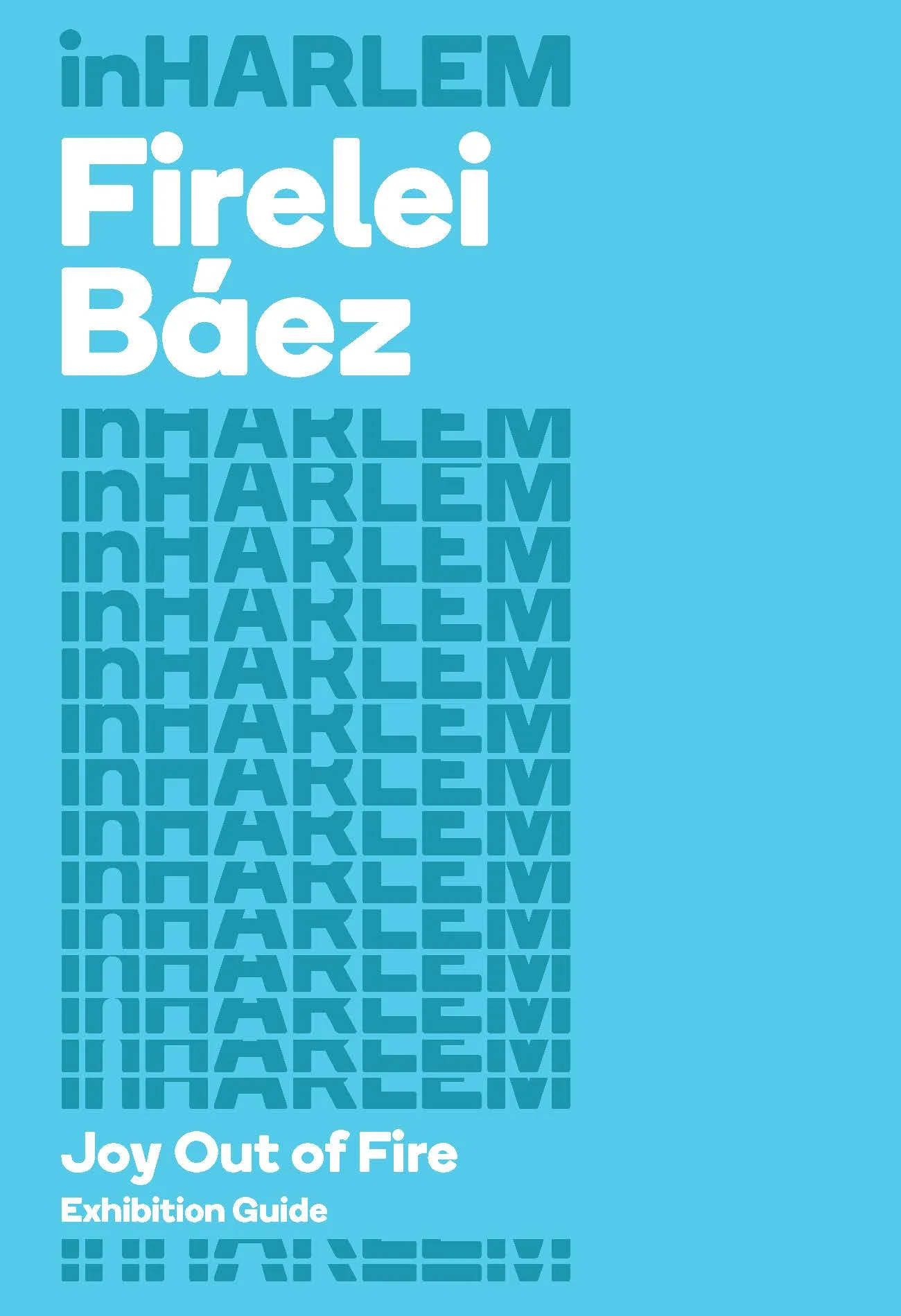 SMoH_Brochure_FireleiBaez_Proof_Page_03.jpg
