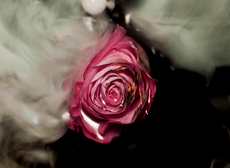 Precious Child, Divinity Rose, courtesy of Space Mountain Miami