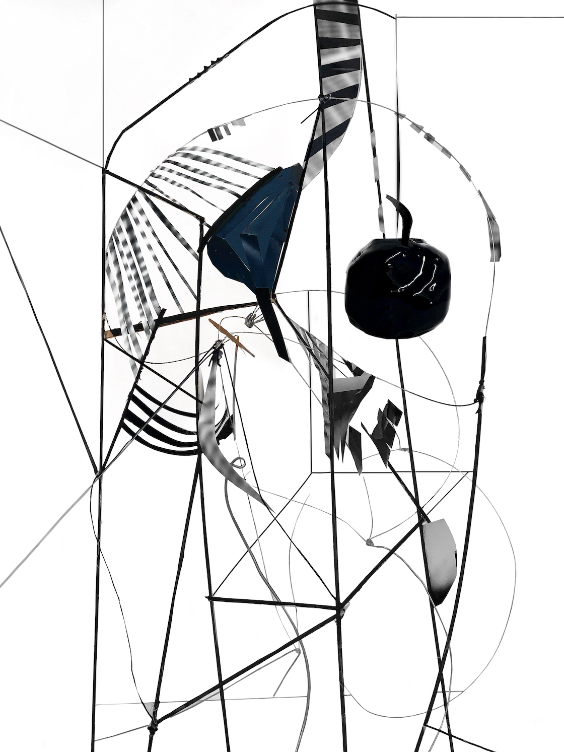  Yamini Nayar,  Wing-Bone , 2018, Hahnemühle Bartya Pigment Print, 40 x 30 inches (101.6 x 76.2 cm), Edition of 5 + 2AP 