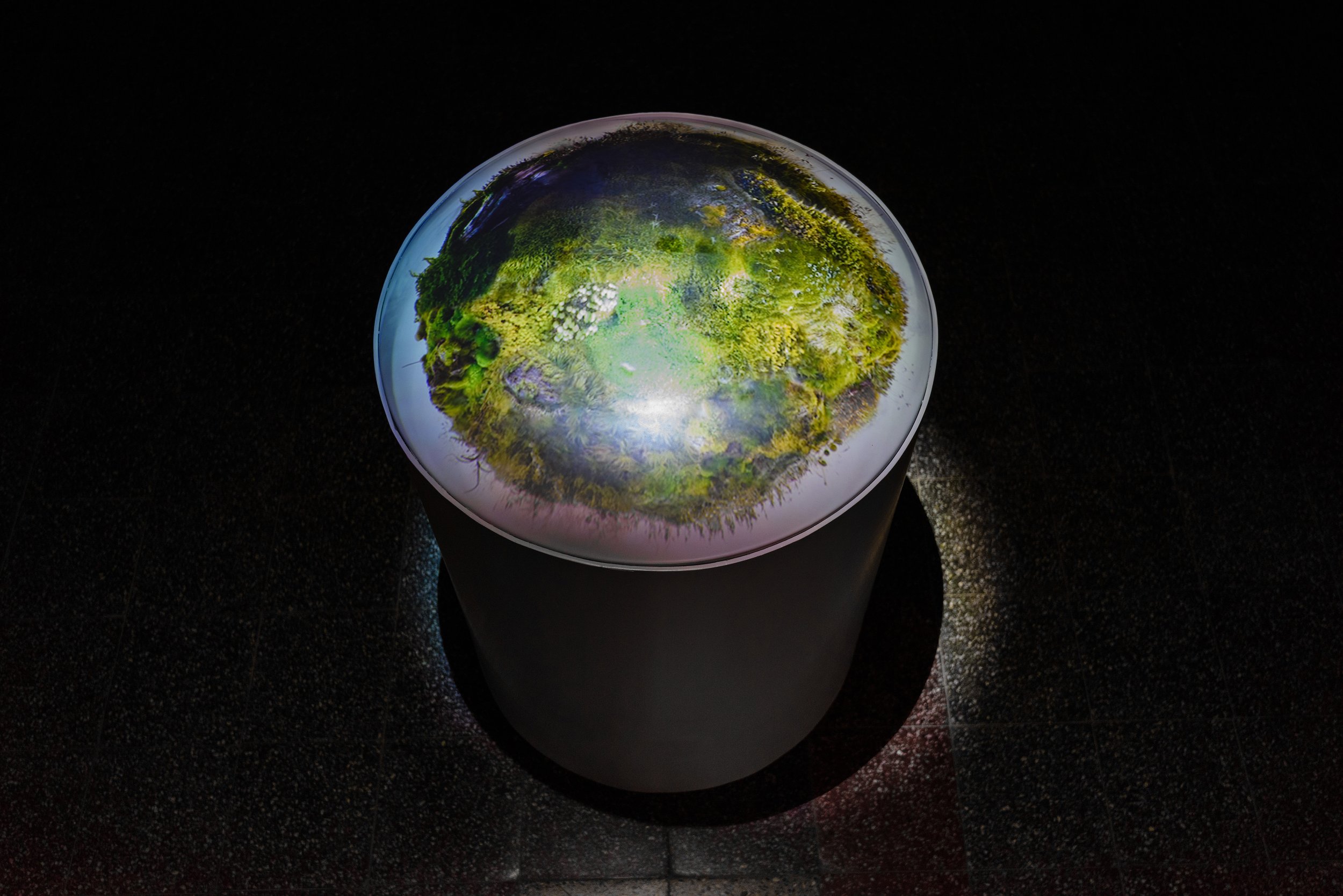  Rohini Devasher,  Terrasphere , 2015, single channel video projected onto pedestal with domed top 