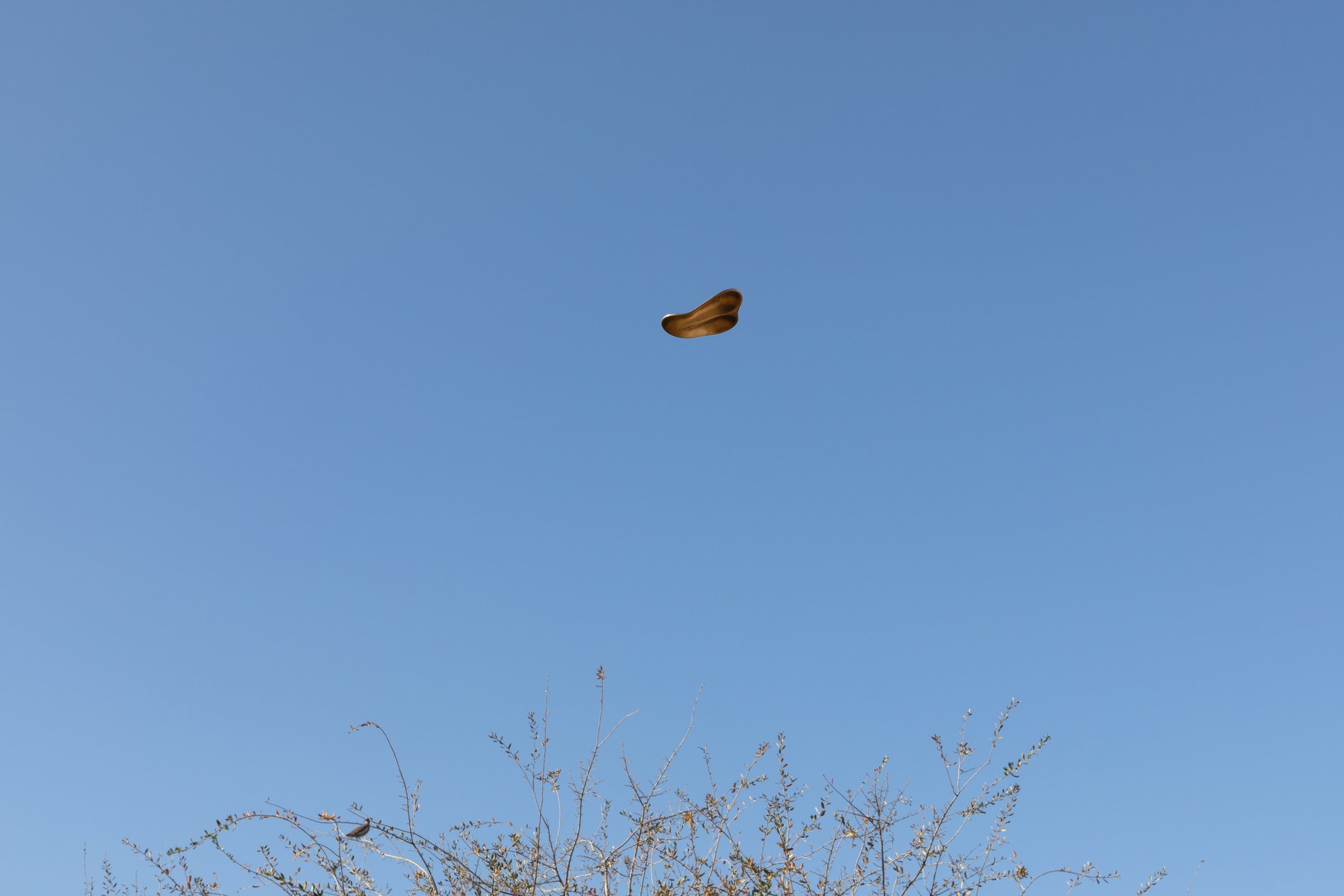  Installation view,  Futuristic Flower , PEANA, Monterrey, Mexico, 2022 