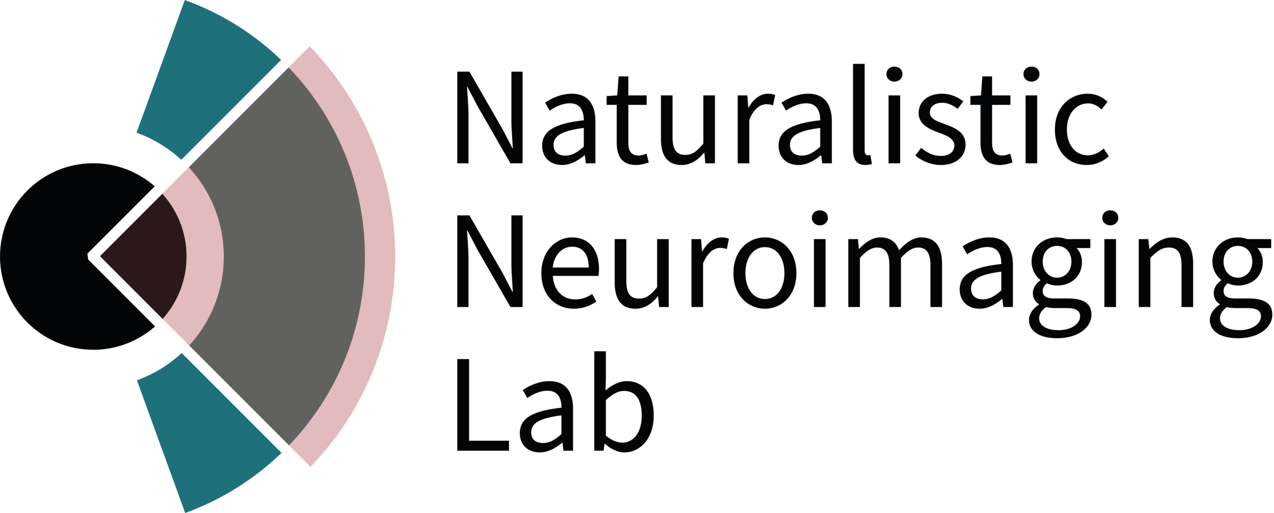 Naturalistic Neuroimaging Lab