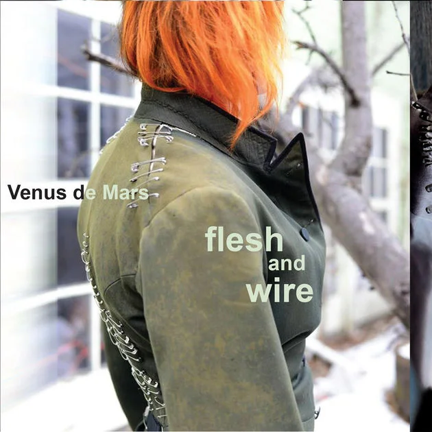 Venus DeMars' 2015 release Flesh and Wire