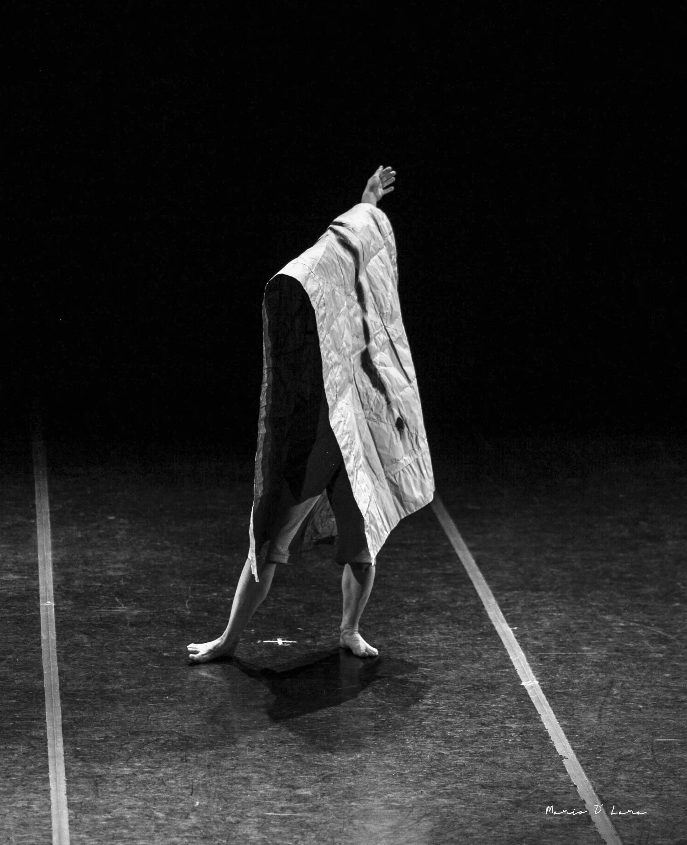 GALIA EIBENSCHUTZ Promo Image