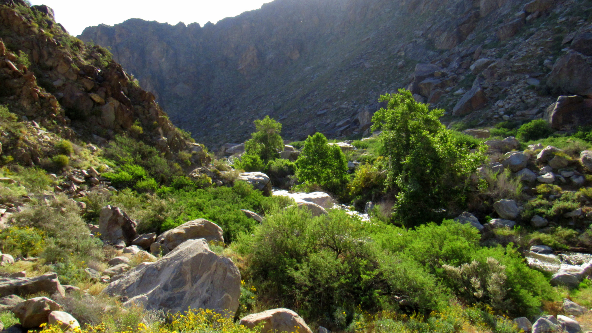 Tahquitz-Canyon-8-1.jpg