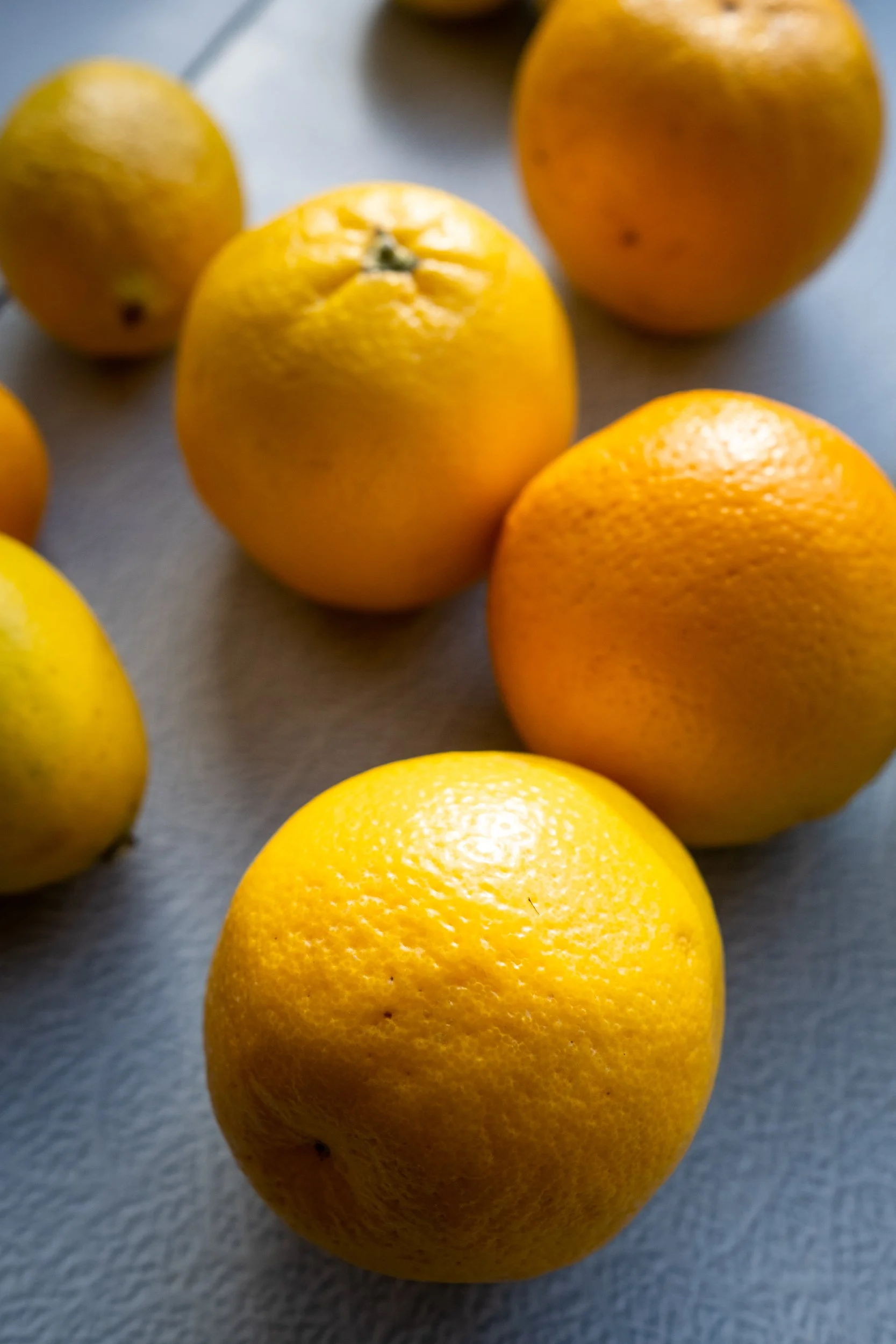 2025-Lauren-Cutshall-Food-Photographer-138.jpg