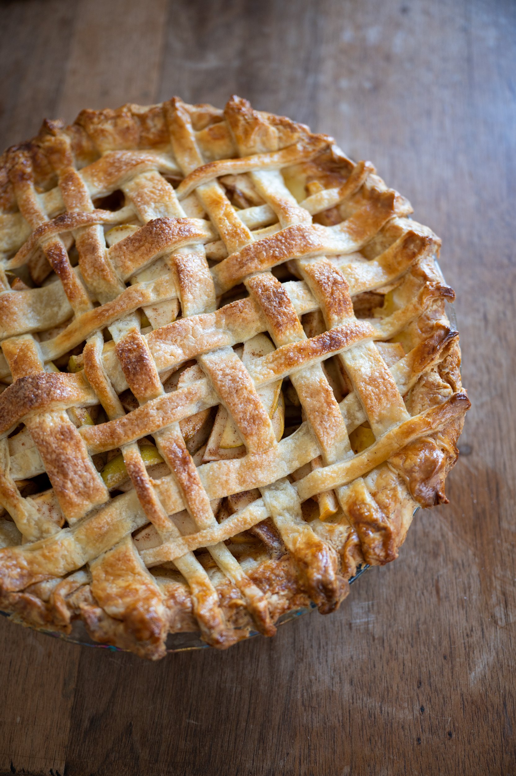 2025-Lauren-Cutshall-Food-Photographer-155.jpg