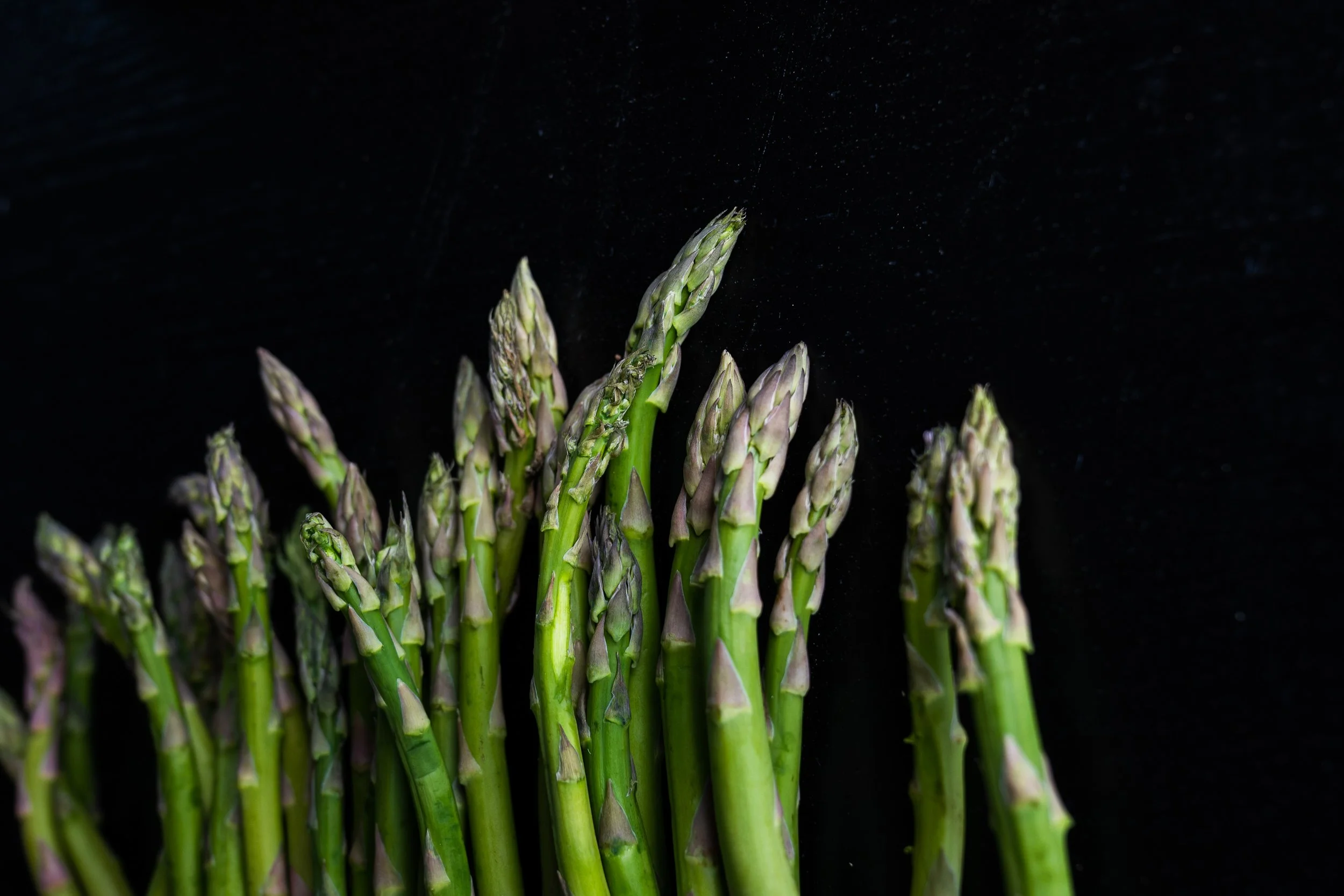 2025-Lauren-Cutshall-Food-Photographer-174.jpg