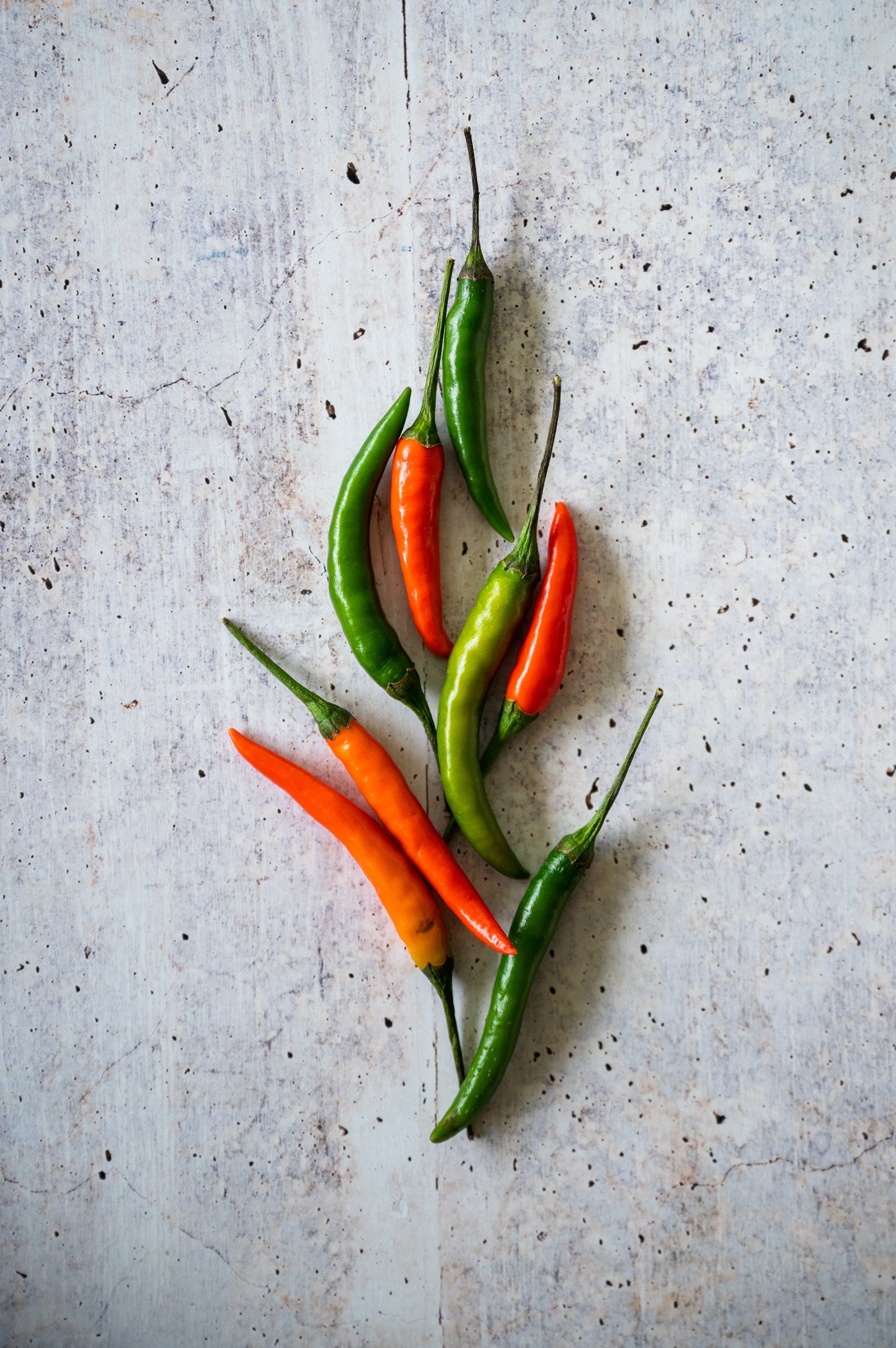 2025-Lauren-Cutshall-Food-Photographer-265.jpg