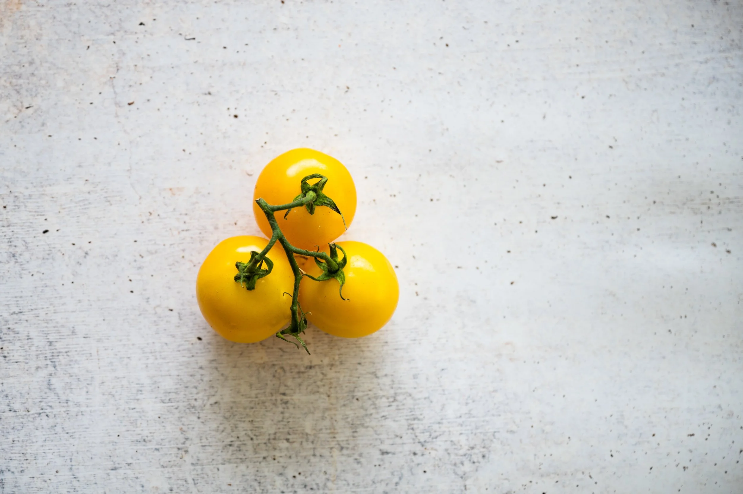 2025-Lauren-Cutshall-Food-Photographer-266.jpg