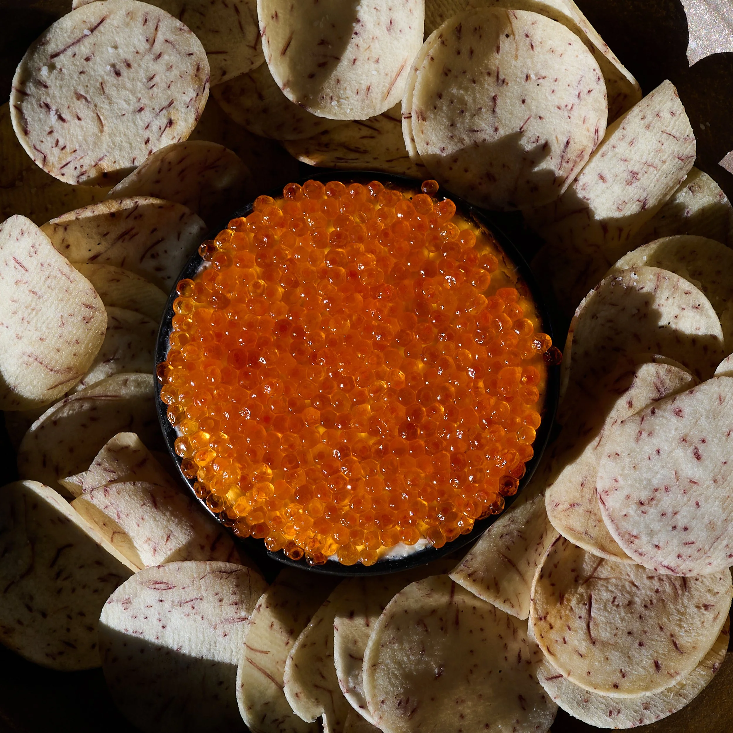 2025-Lauren-Cutshall-Food-Photographer-319.jpg
