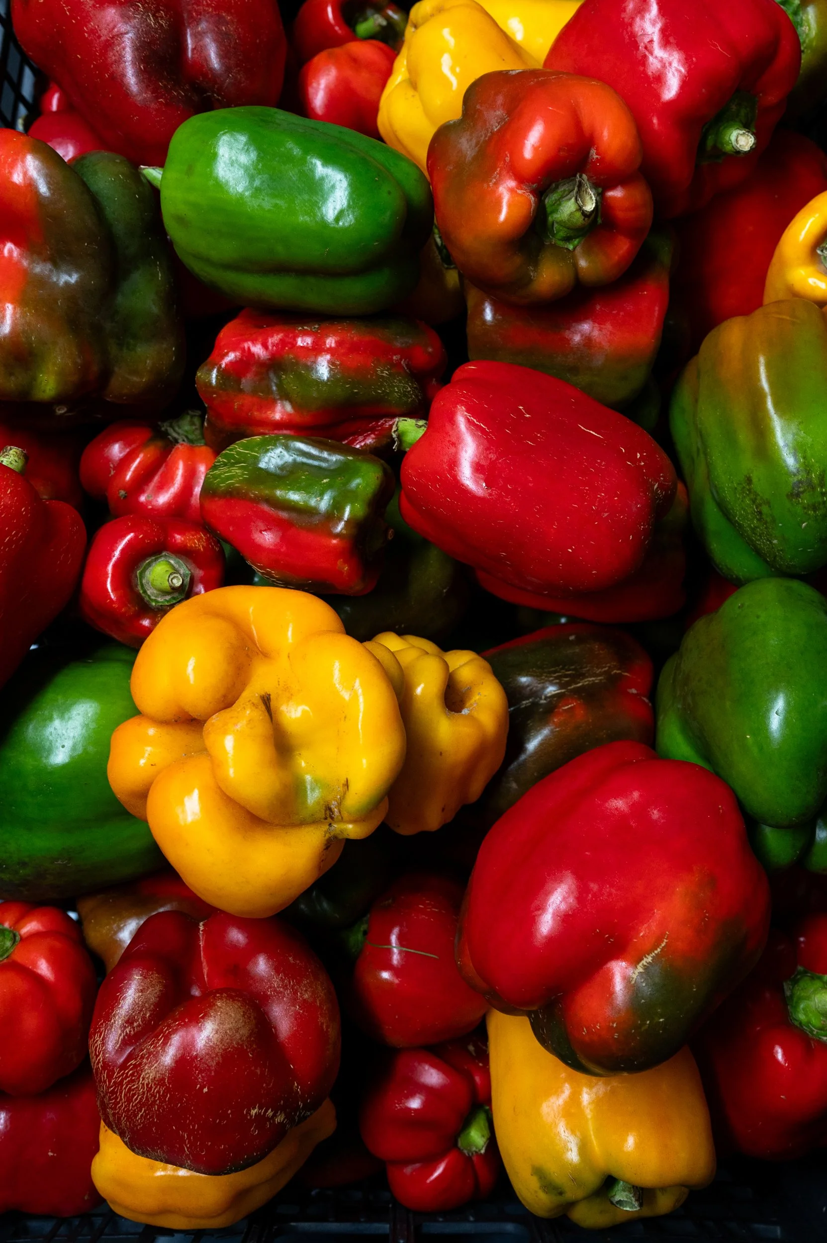 2025-Lauren-Cutshall-Food-Photographer-370.jpg