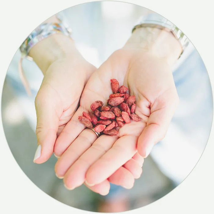circle-herbs.jpg
