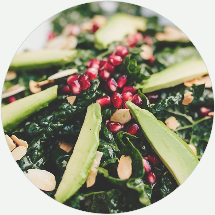 circle-diet.jpg