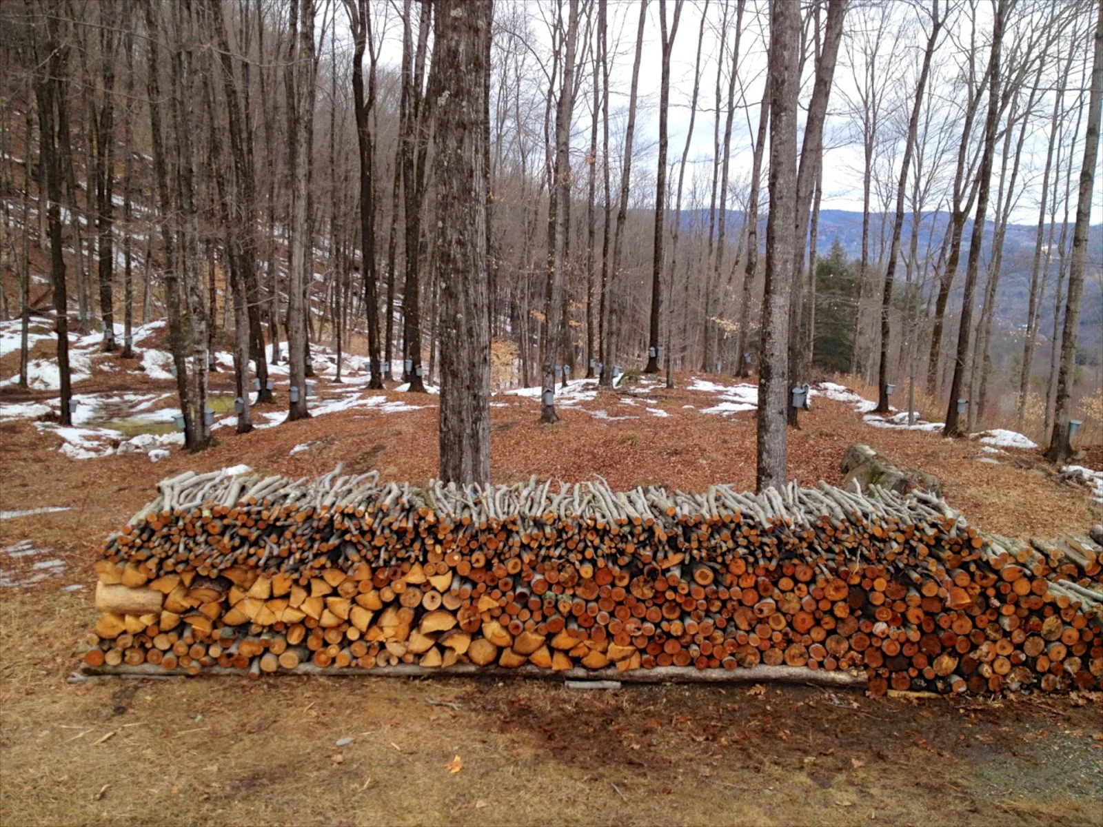 Time by the Seasons