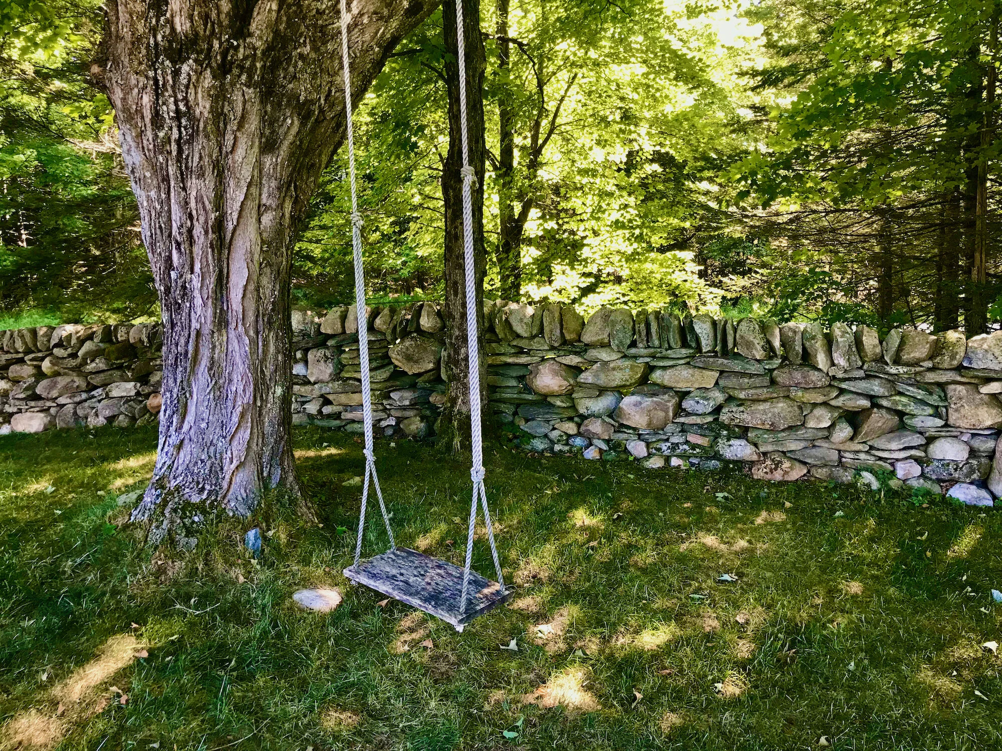 In the Company of Stone