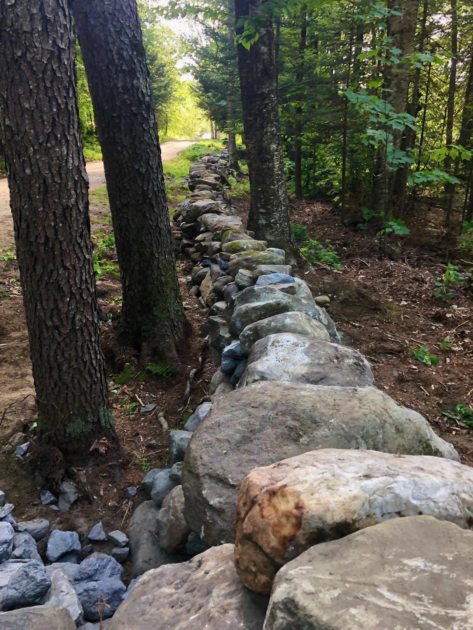 Stone Forever Leads the Way