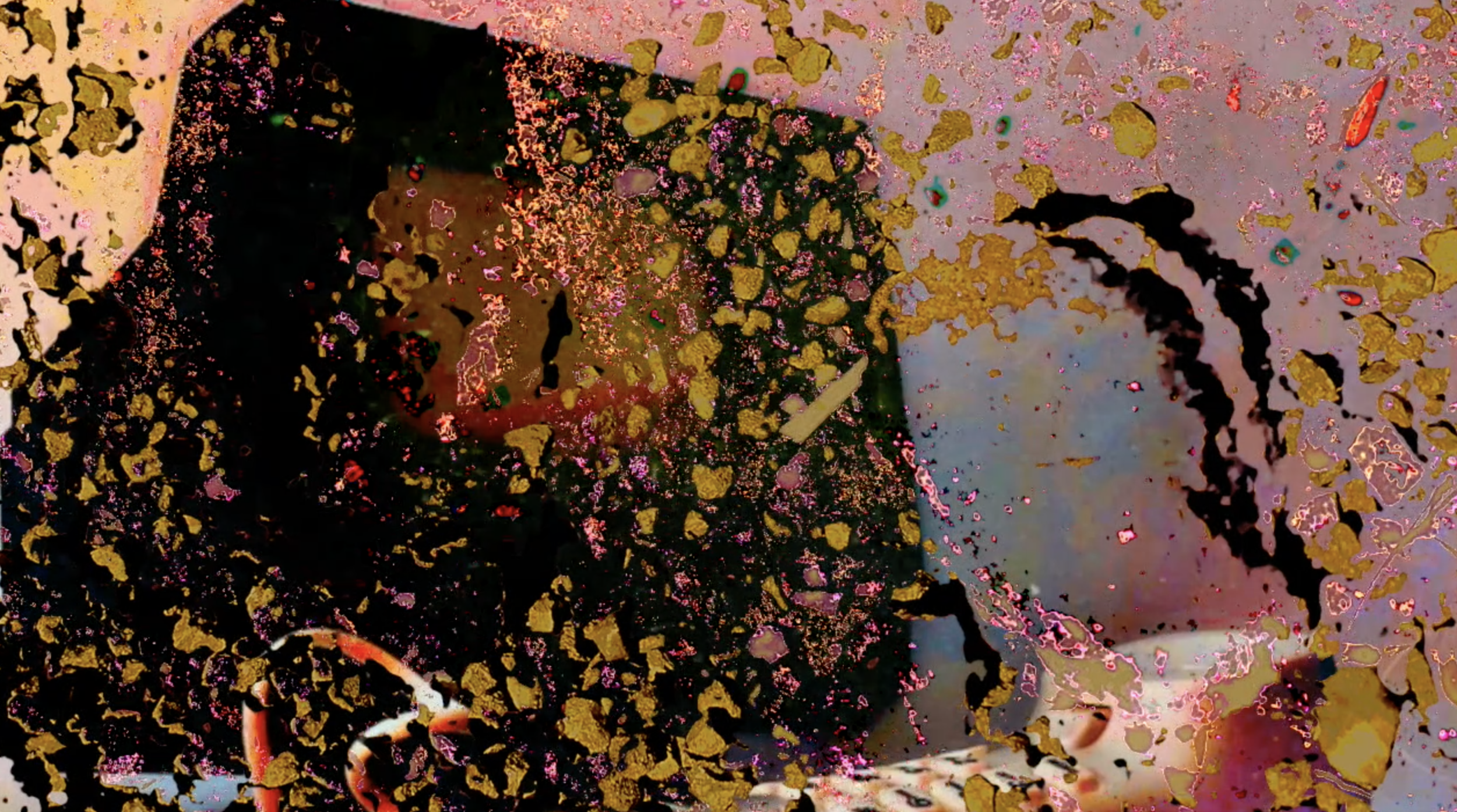 Screen Shot 2019-02-22 at 4.38.52 AM.png