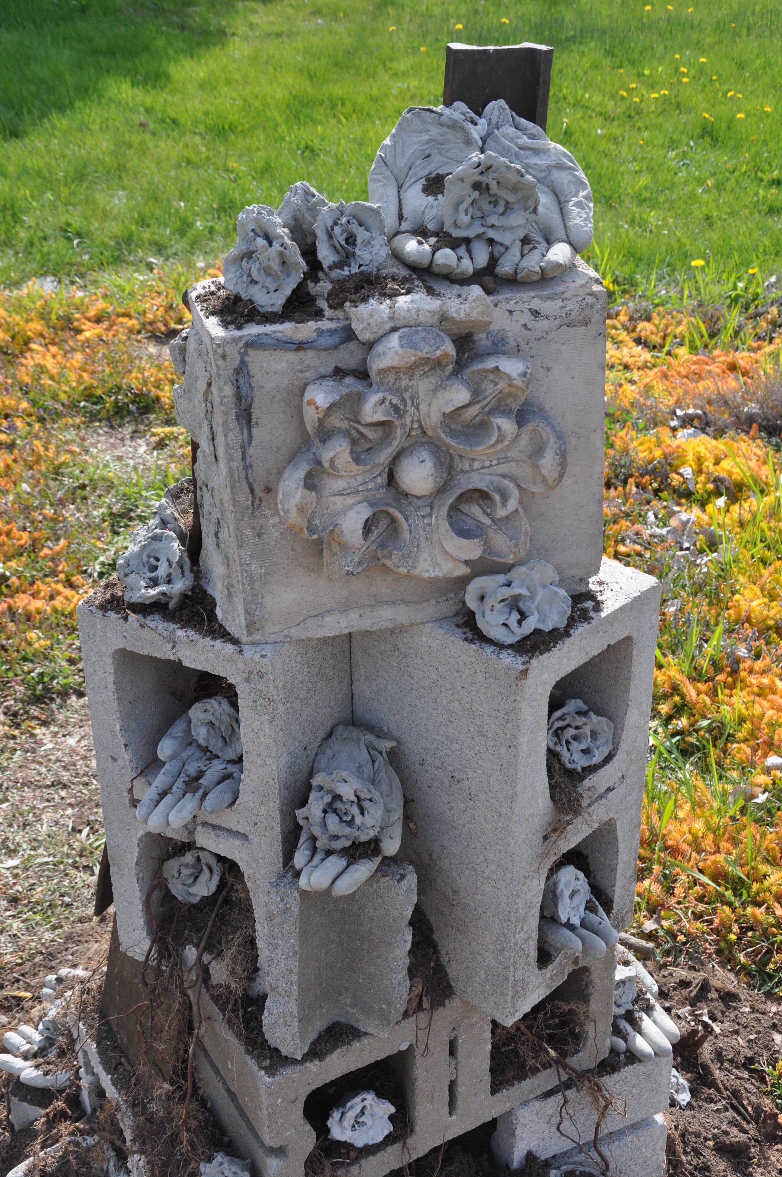 DSC_0894.jpg