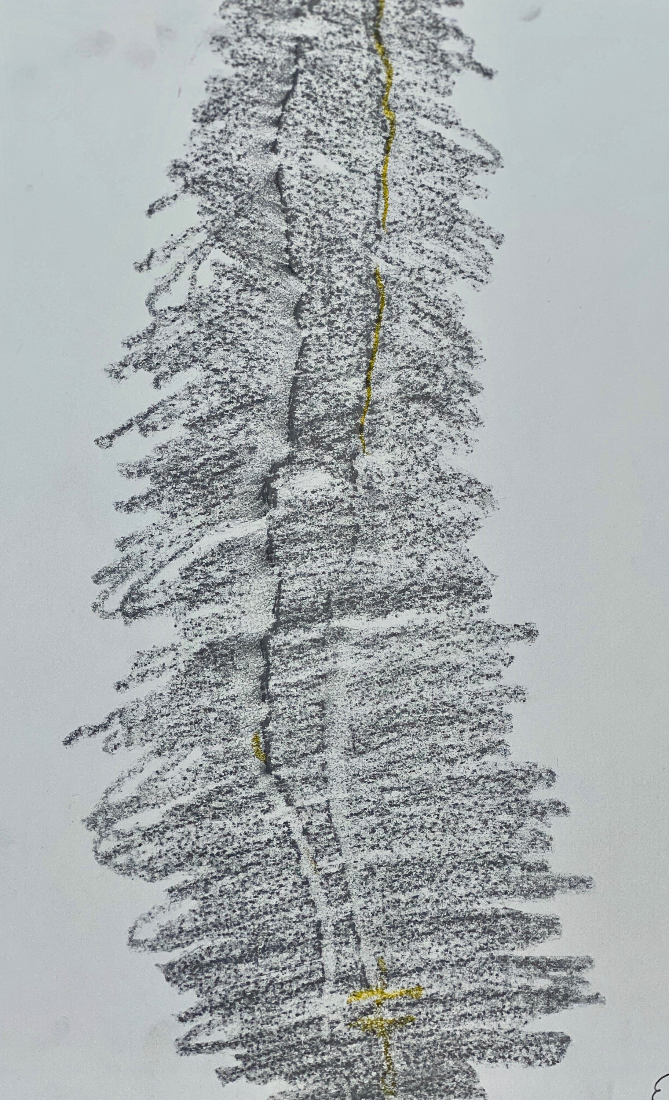 Photo of drawing 1.jpeg