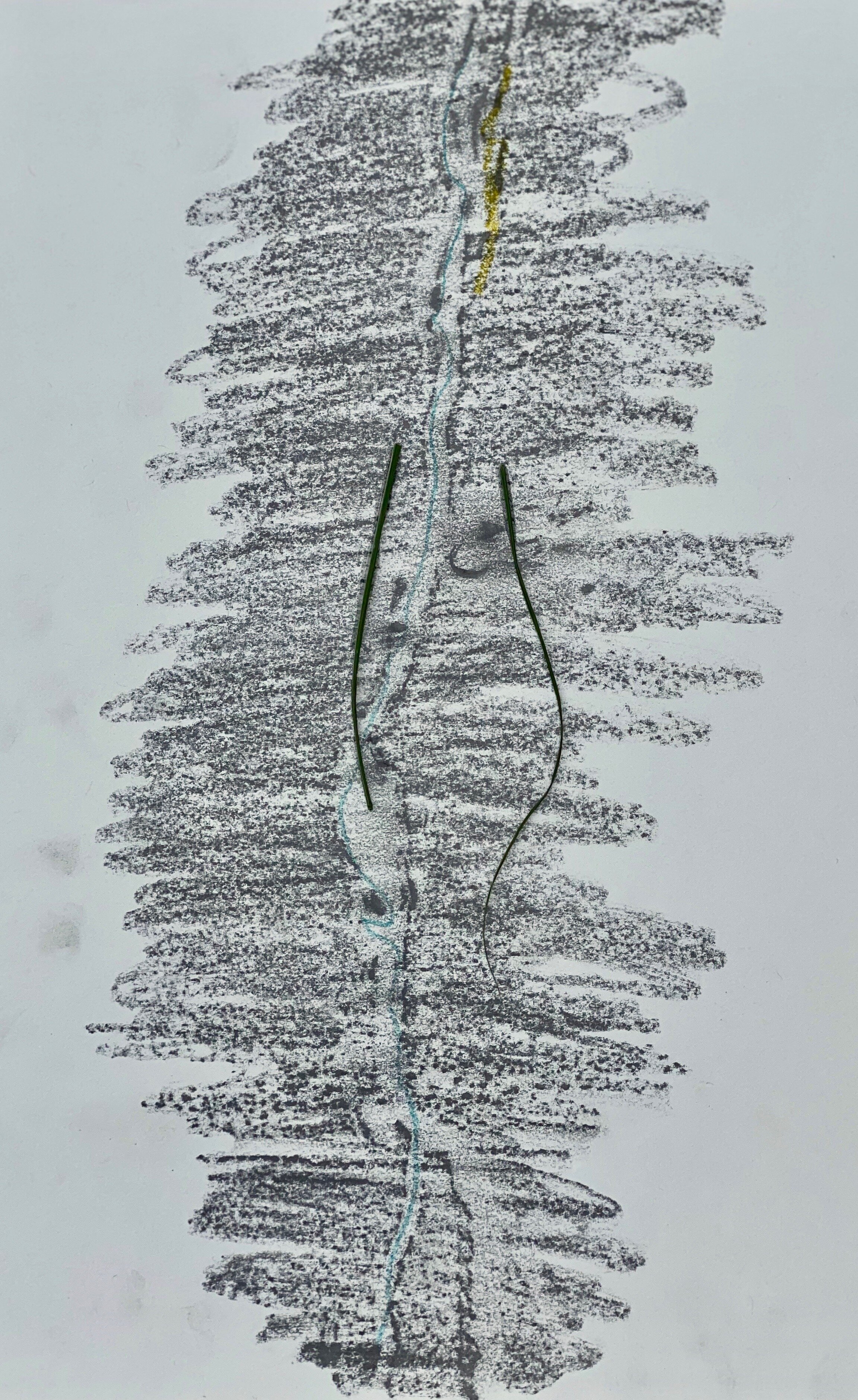 Photo of drawing 2.jpeg