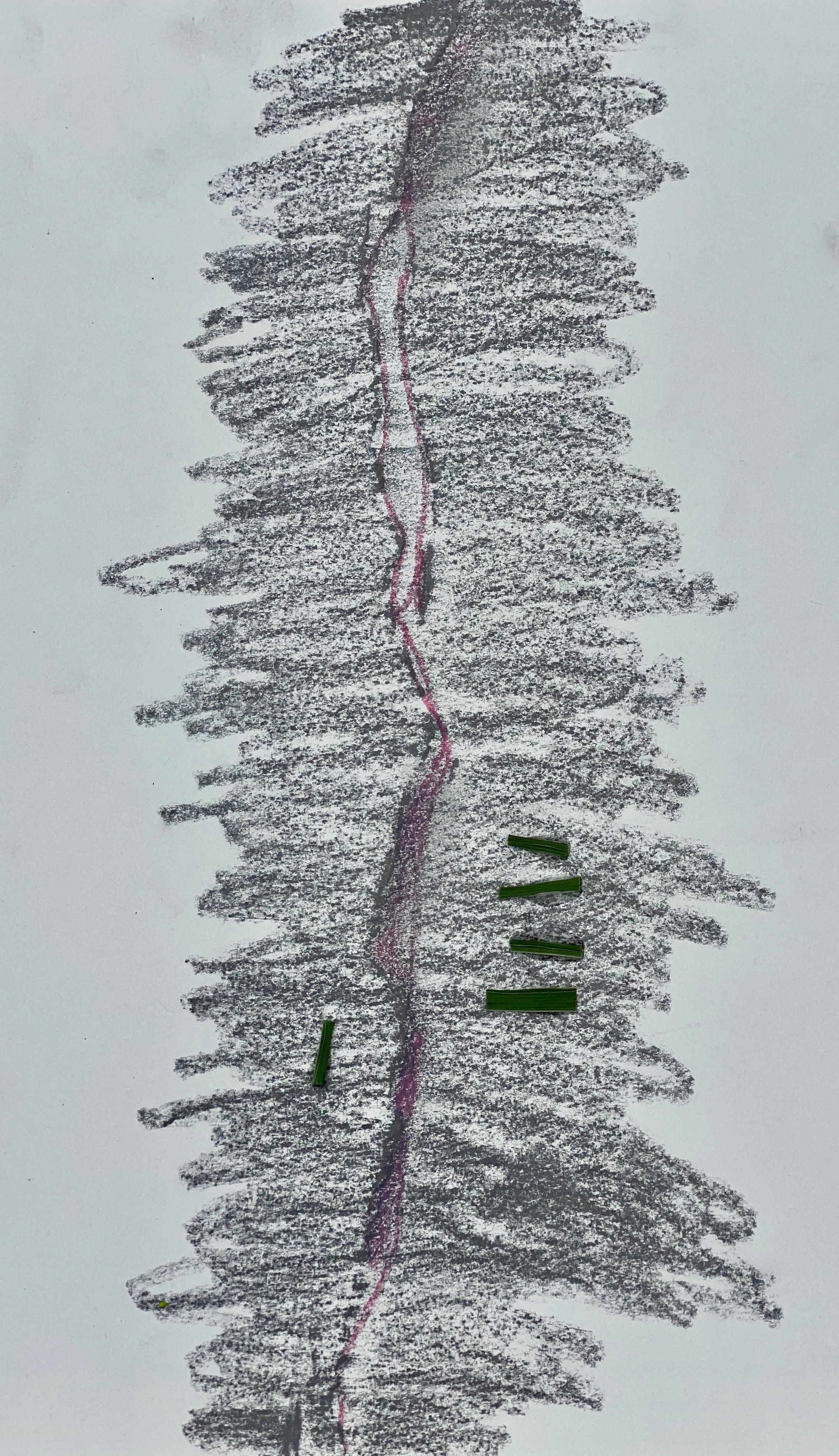Photo of drawing 3.jpeg