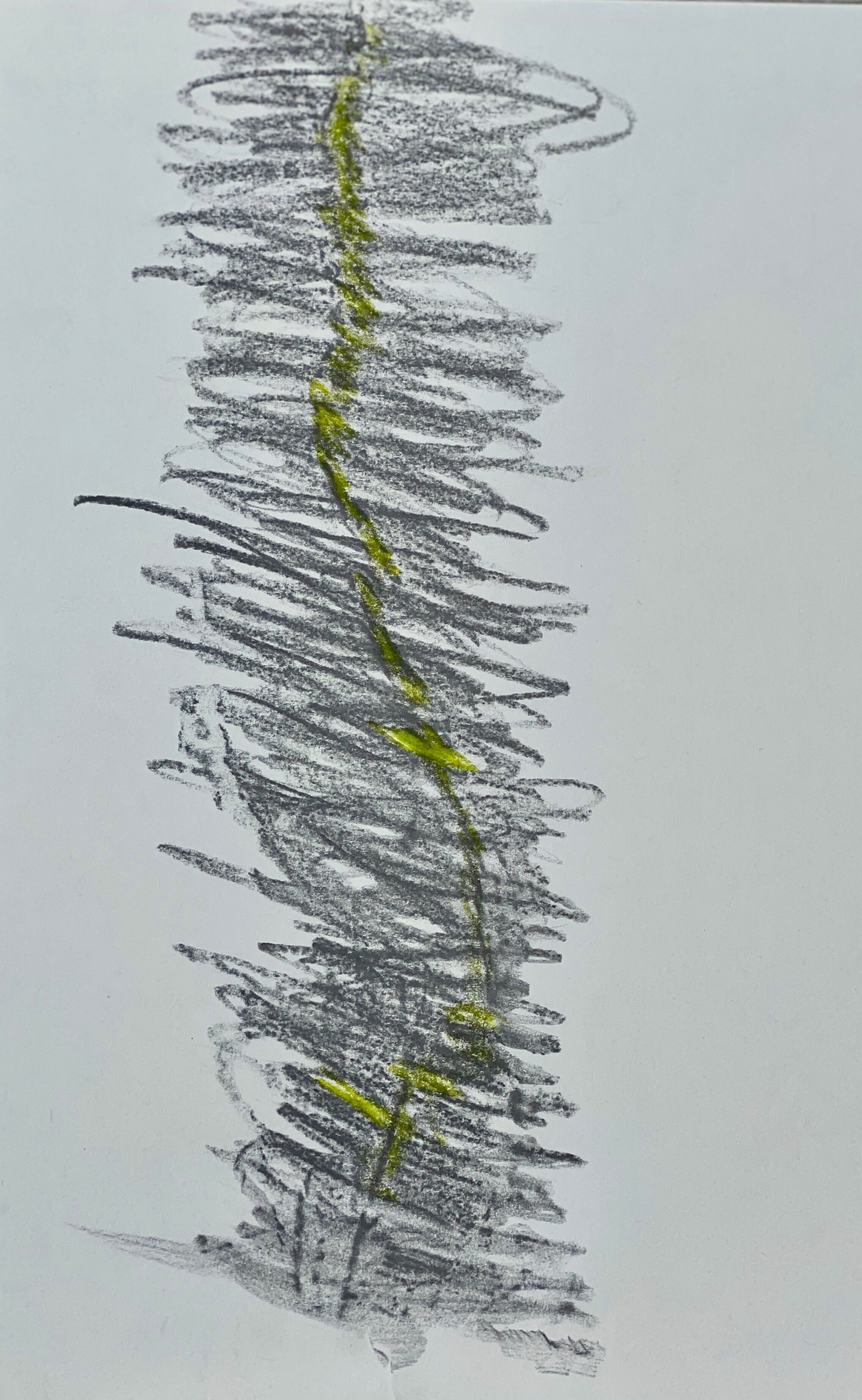Photo of drawing 5.jpeg
