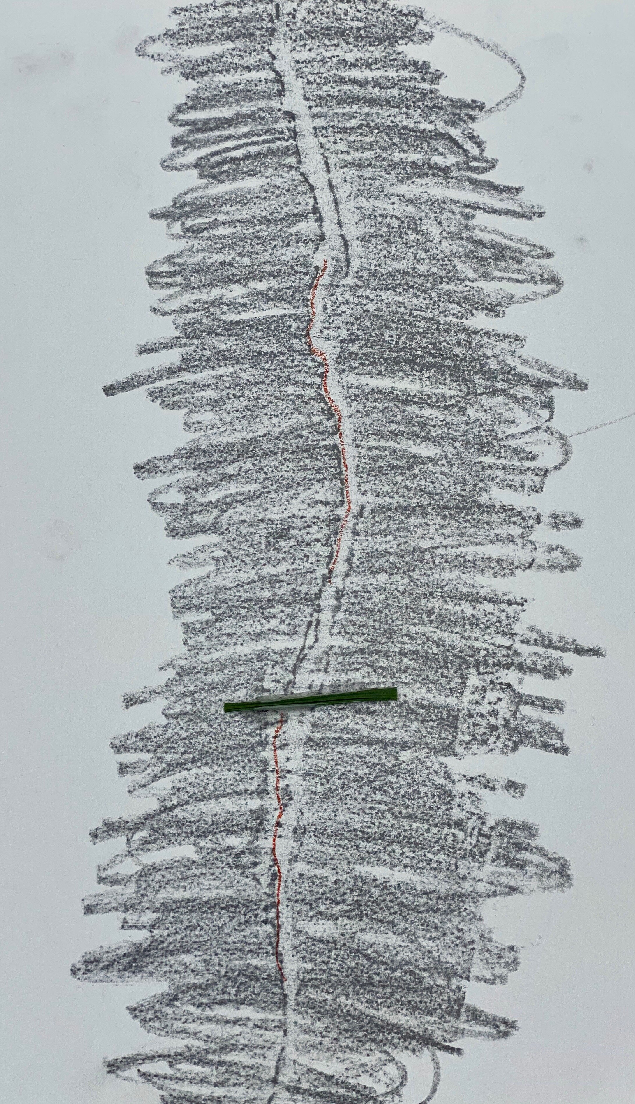 Photo of drawing 4.jpeg