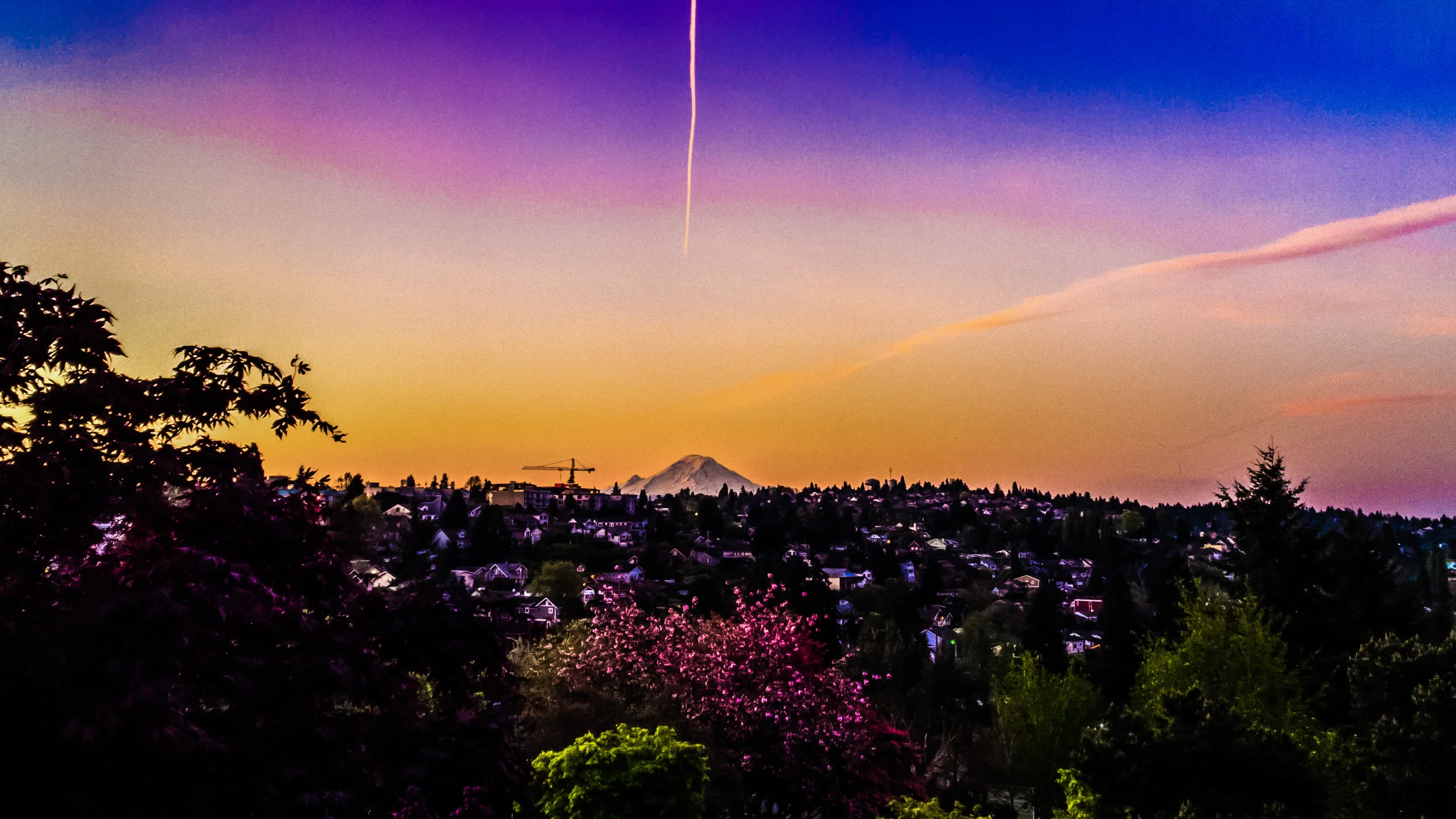 West Seattle Realty