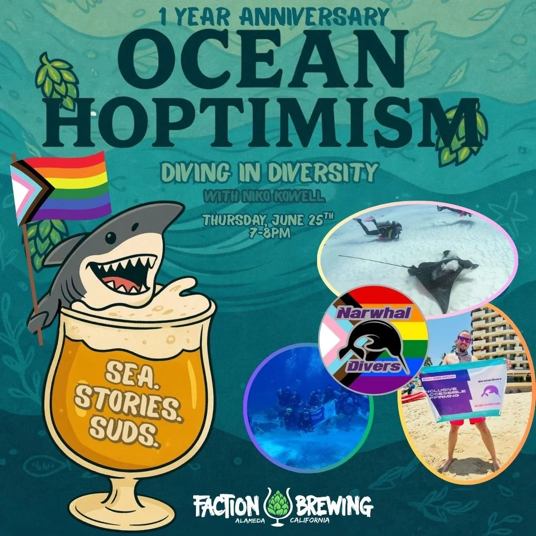 Ocean Hoptimism: 1 year anniversary!