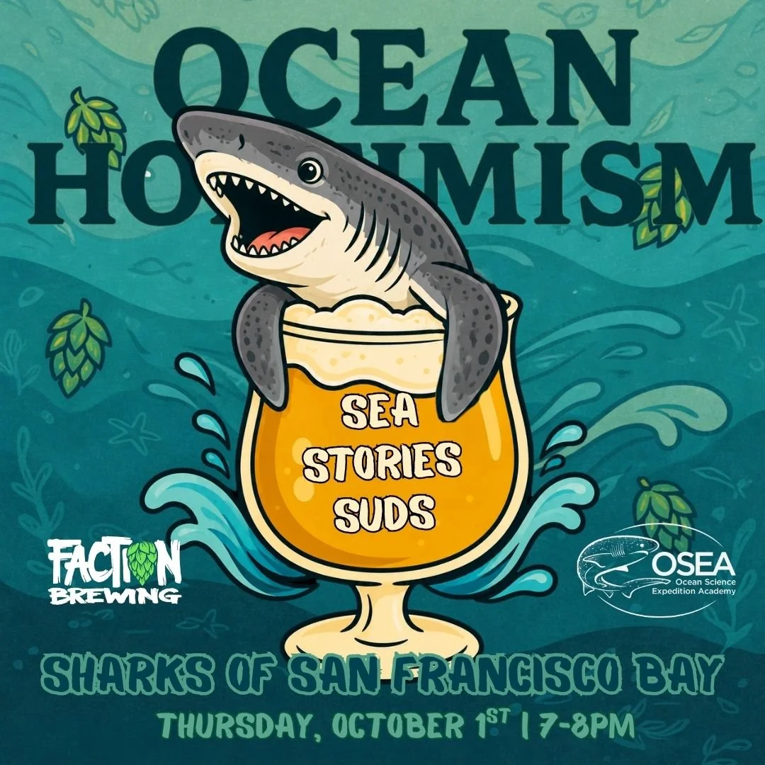 Bonus! Shark-focused Ocean Hoptimism