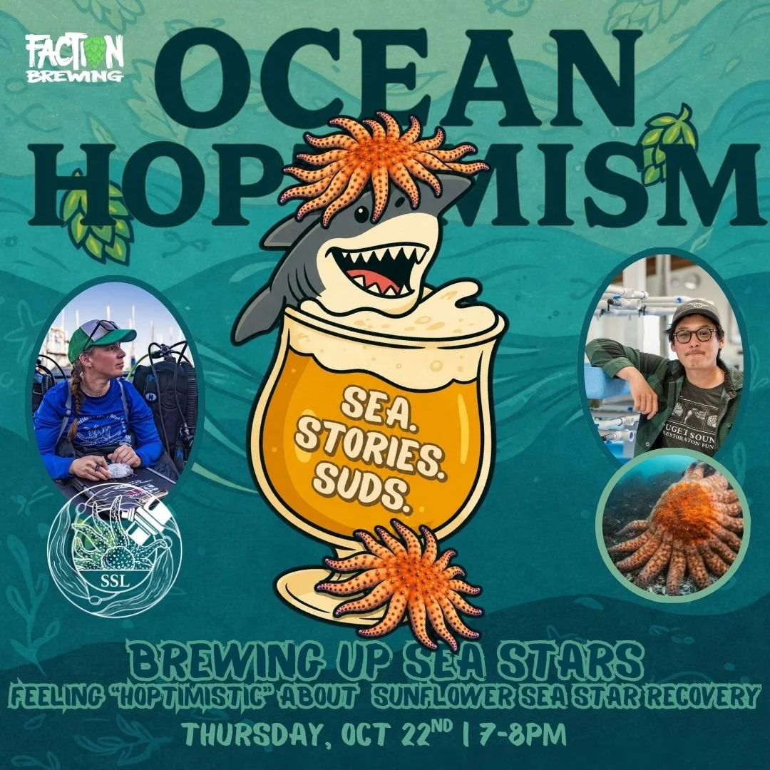 Ocean Hoptimism