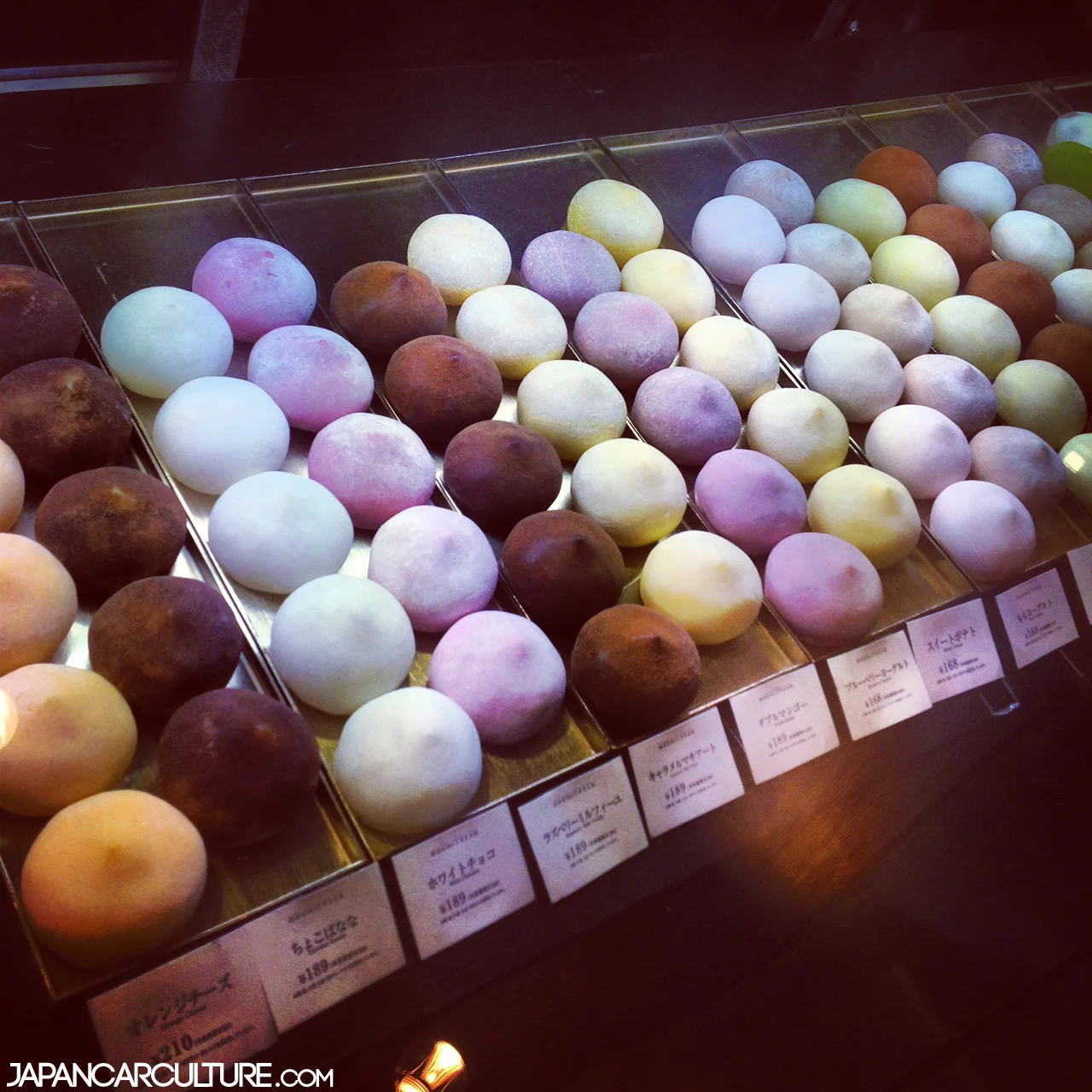 Mochi1.jpg