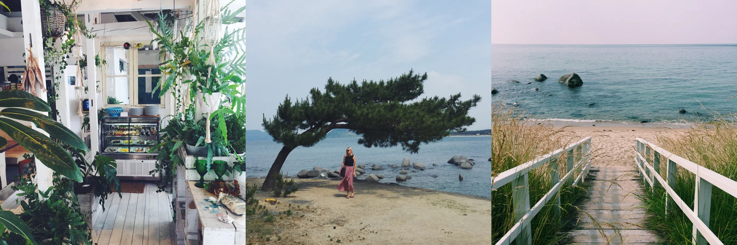 blog insert itoshima.jpg