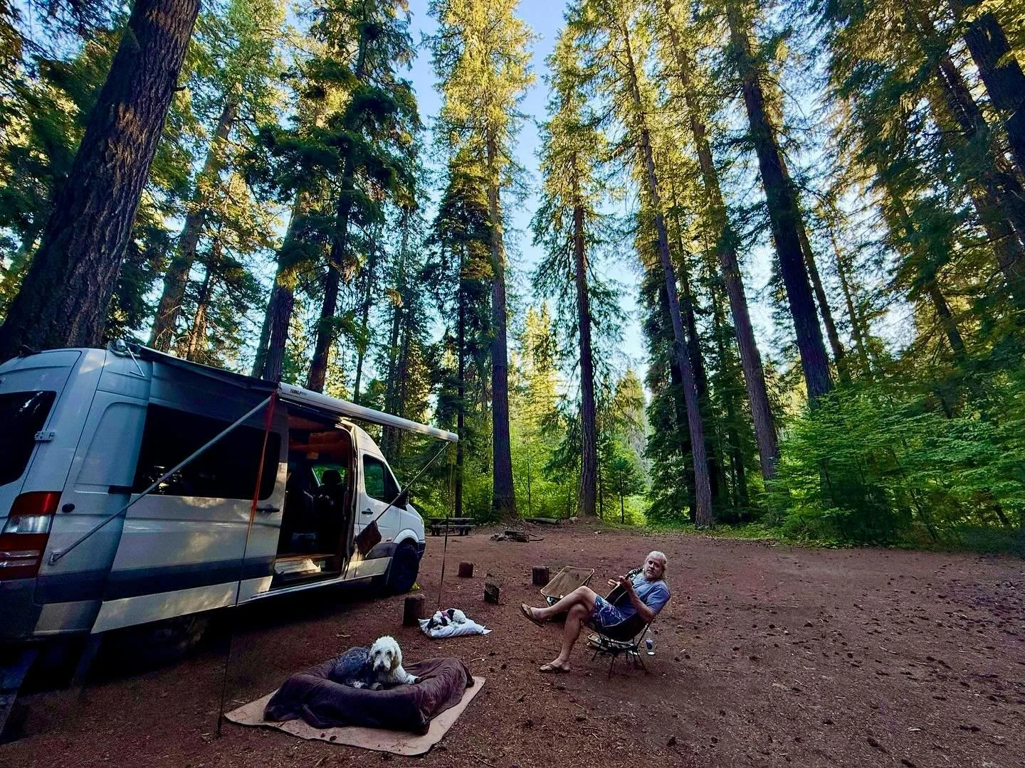 Made it to Oregon! Camp Redwoods up next for our 2nd to last show of summer.

Montana ➡️ Alberta ➡️ British Columbia ➡️ Washington ➡️ Oregon 🚐