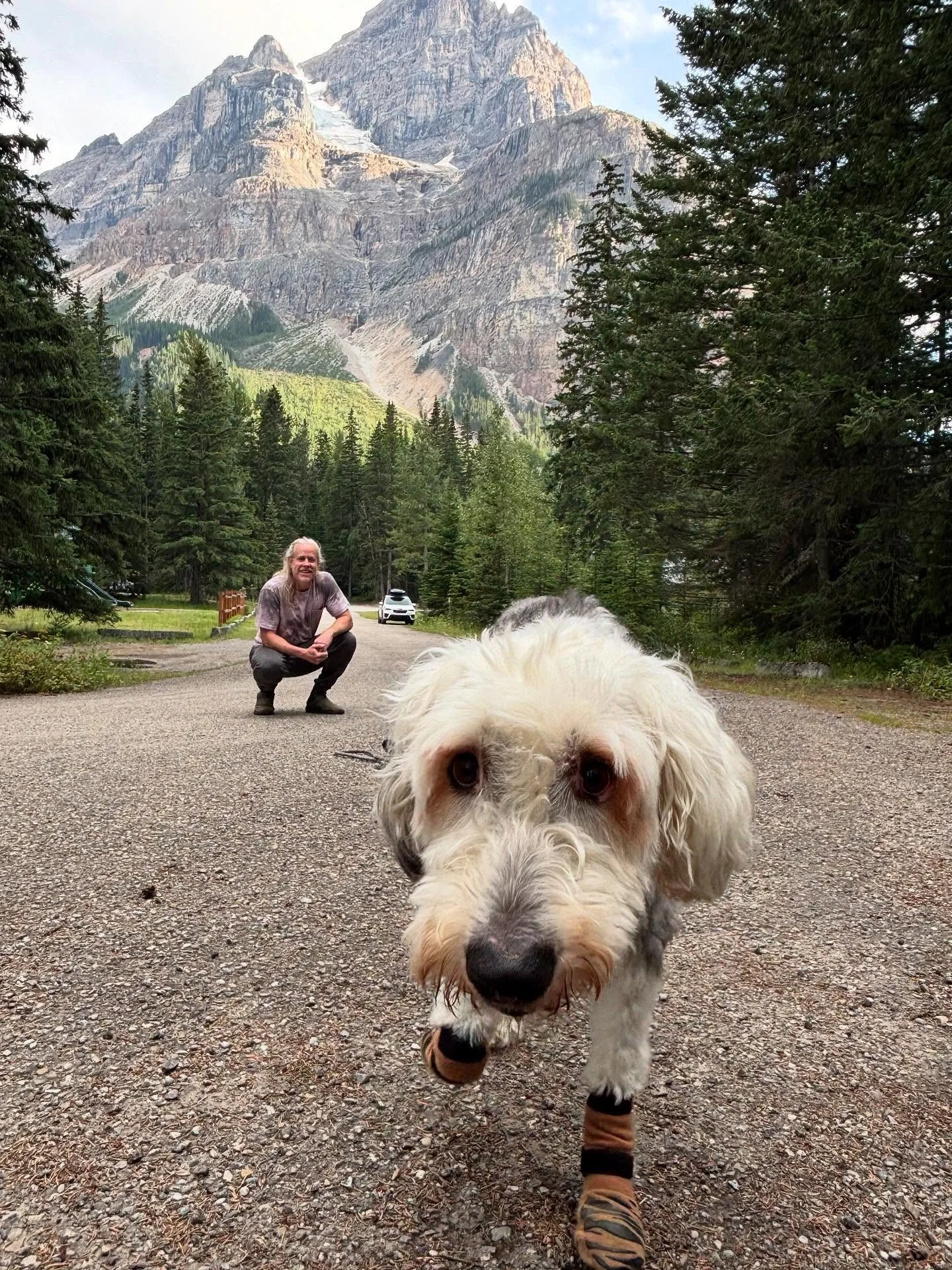 Me and the girls made it to Canada 🇨🇦🐻 !  There&rsquo;s a whole bunch of magic in these mountains&hellip;never seen anything quite like it ✨