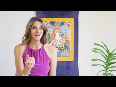  Cinematographer + Editor 