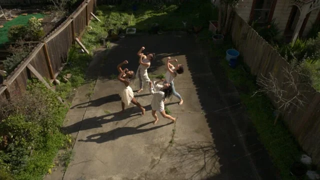  Cinematographer + Editor 