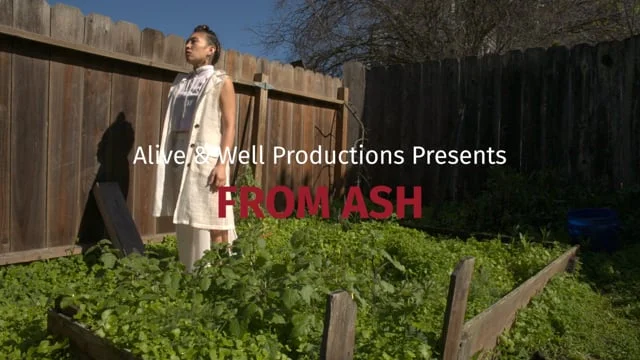  Cinematographer + Editor 