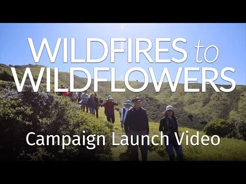  Cinematographer + Editor 