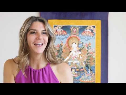  Cinematographer + Editor 