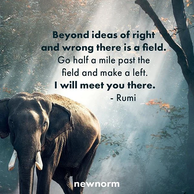 #newnorm
#whatsnewnorm
#itsthenewnorm
#rumi 
www.instagram.com/whatsnewnorm/
