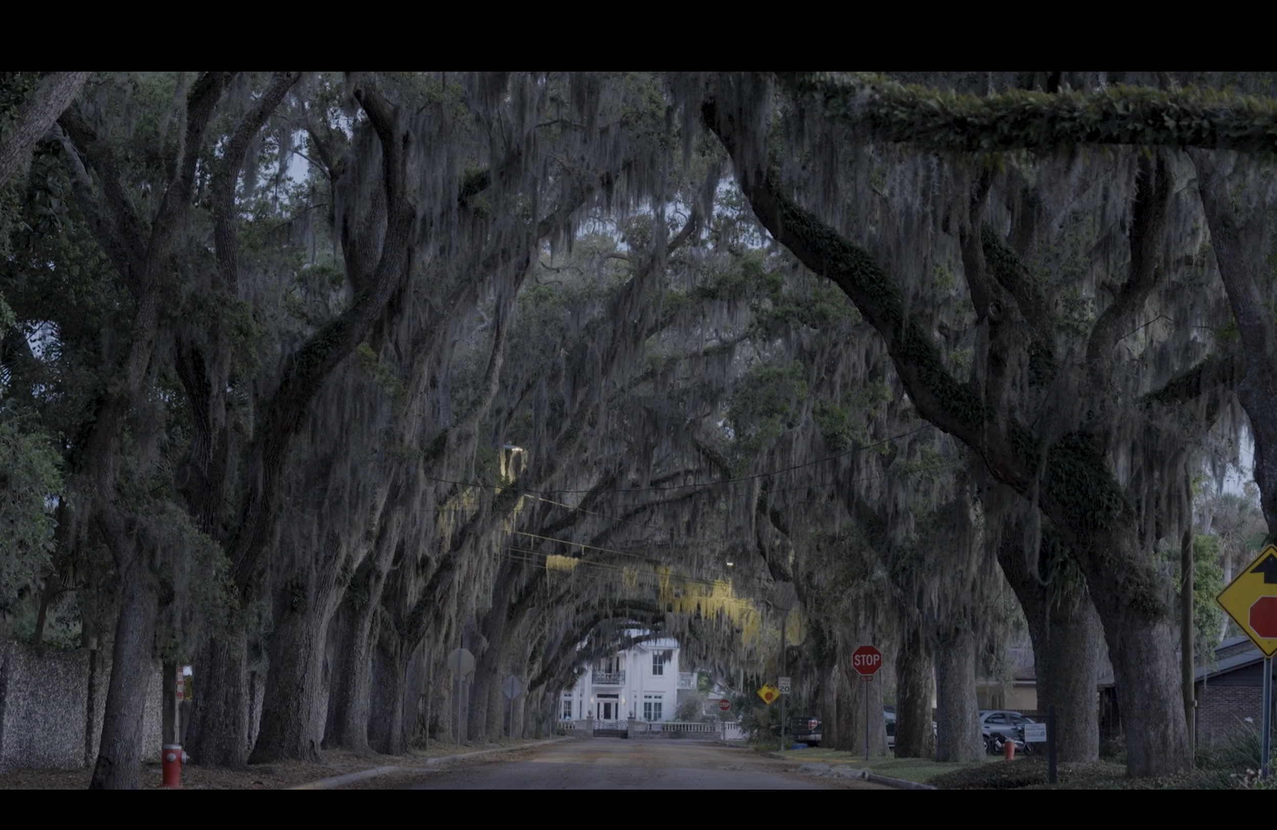 Screenshot 2026-02-23 at 7.07.49 PM.png