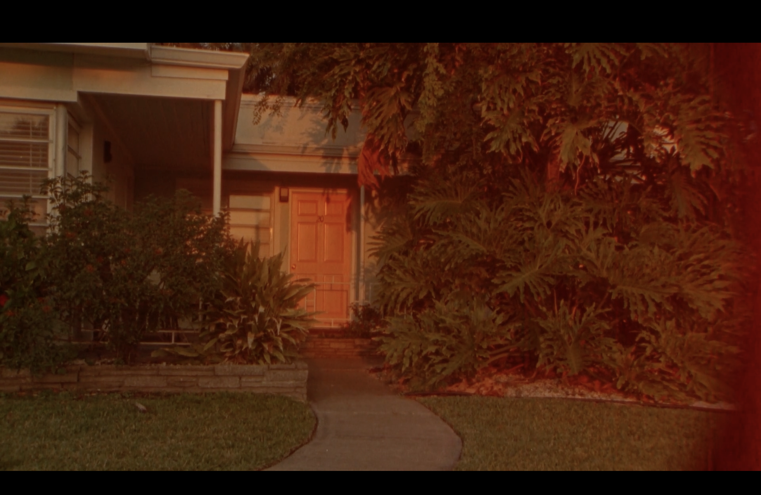 Screenshot 2026-02-23 at 8.20.59 PM.png