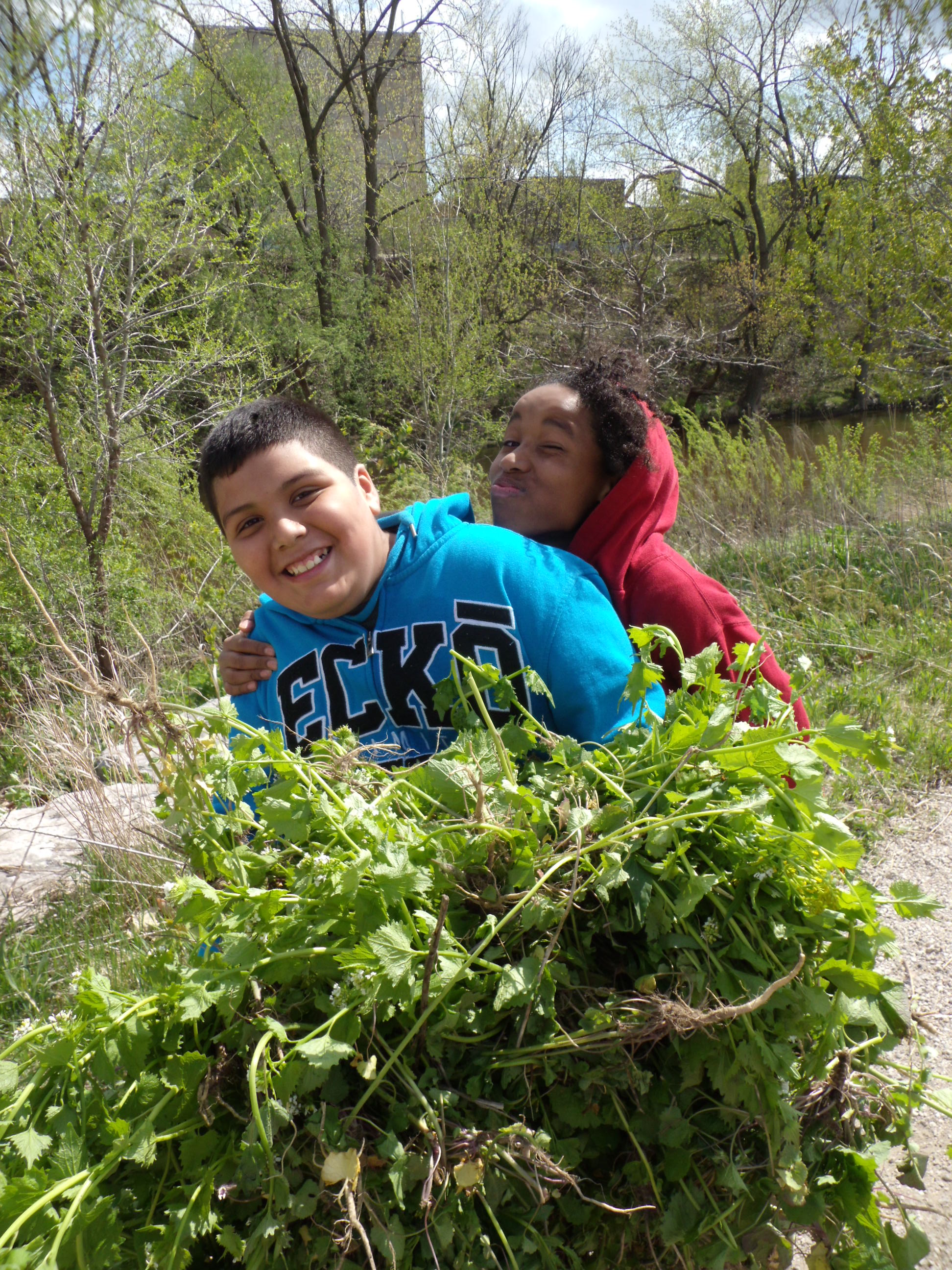 Volunteer in the Park