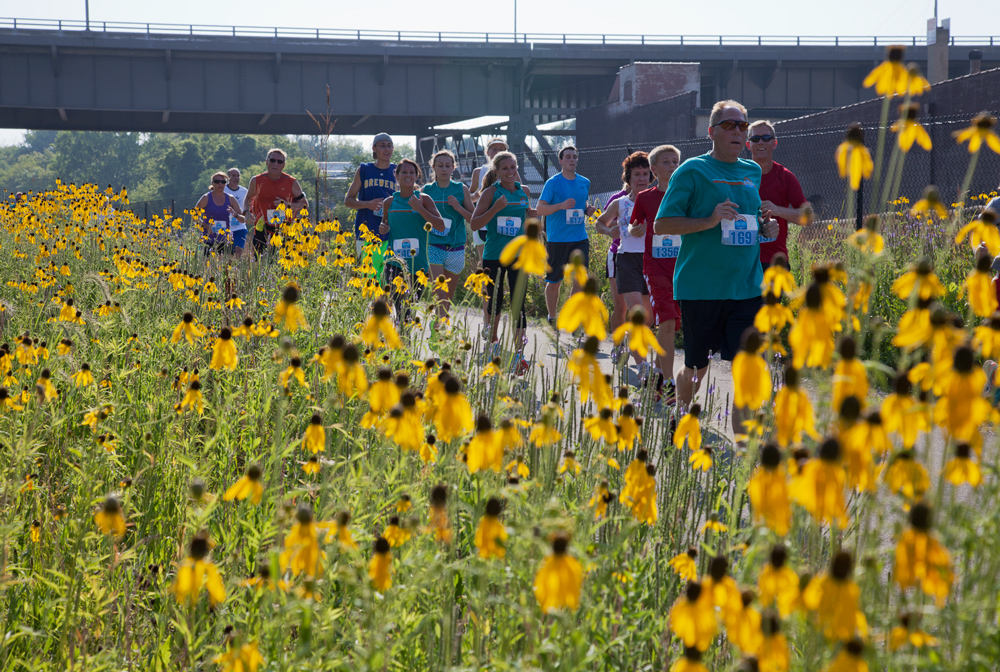 2014 runners thru 3BP.jpg