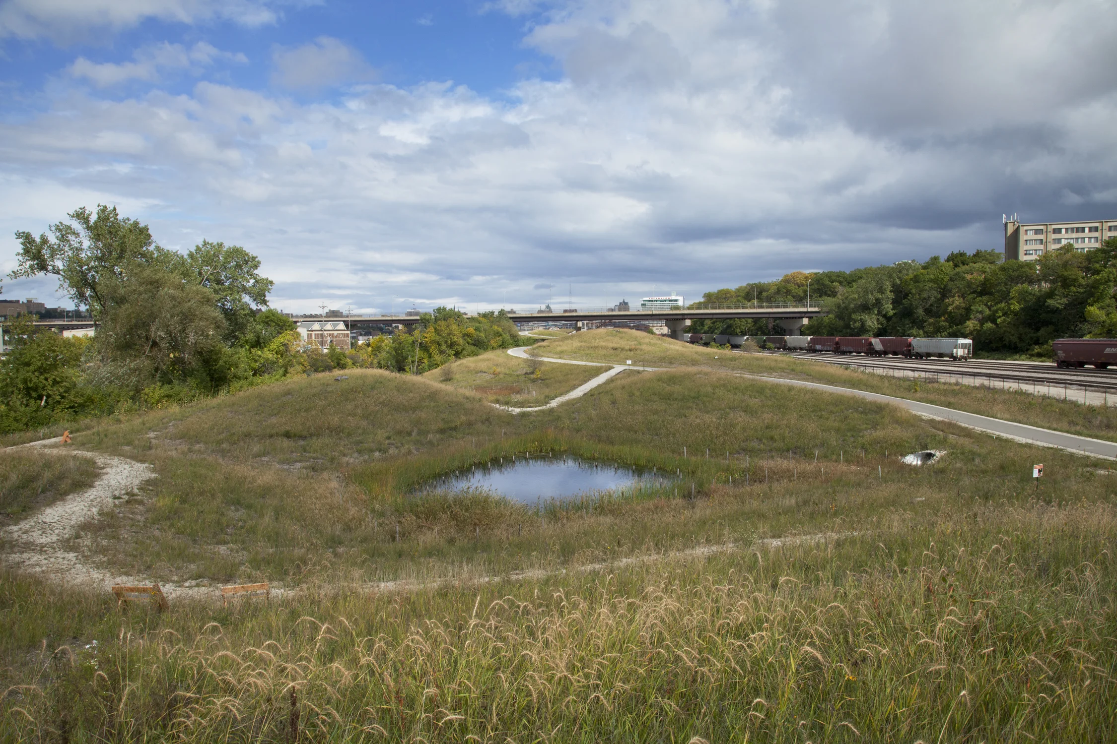 Natural Stormwater Filtration : Swales (Photo: Eddee Daniel)